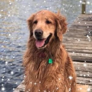 Meet your Posher, Denise